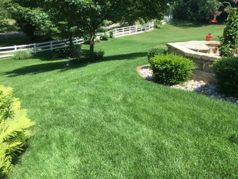lawn-care
